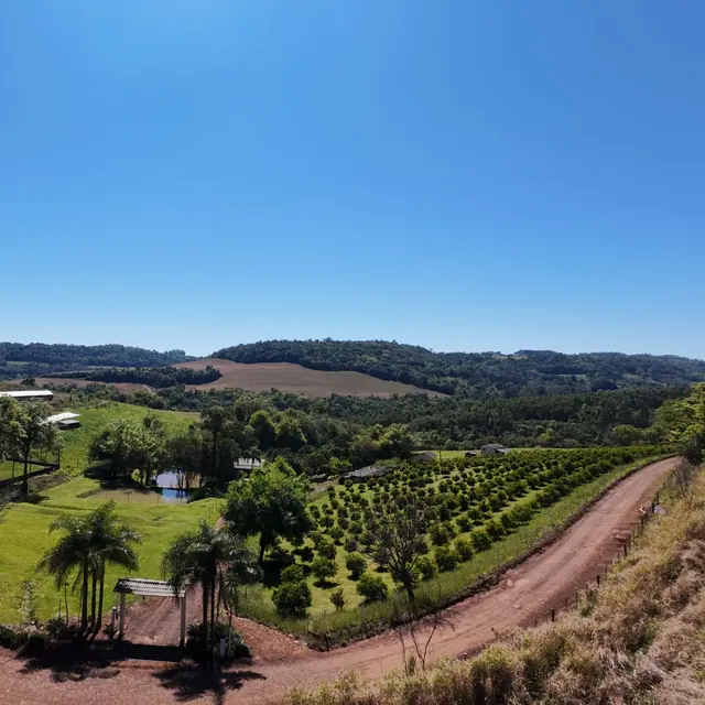 Sítio 9 Lagoas com pomar, piscina e casas